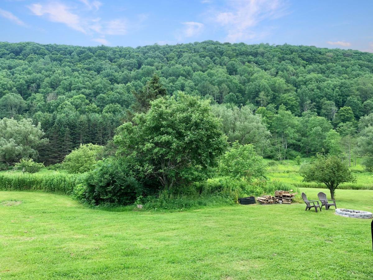 The Maples Apt - King Bed, Pet Friendly, Beautiful Views Ellicottville Εξωτερικό φωτογραφία